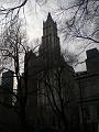 Sheffield_KW4_2008 186
